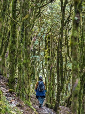 Dochula by Marcus Westberg61